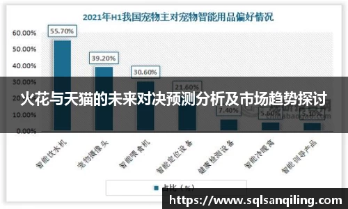 火花与天猫的未来对决预测分析及市场趋势探讨